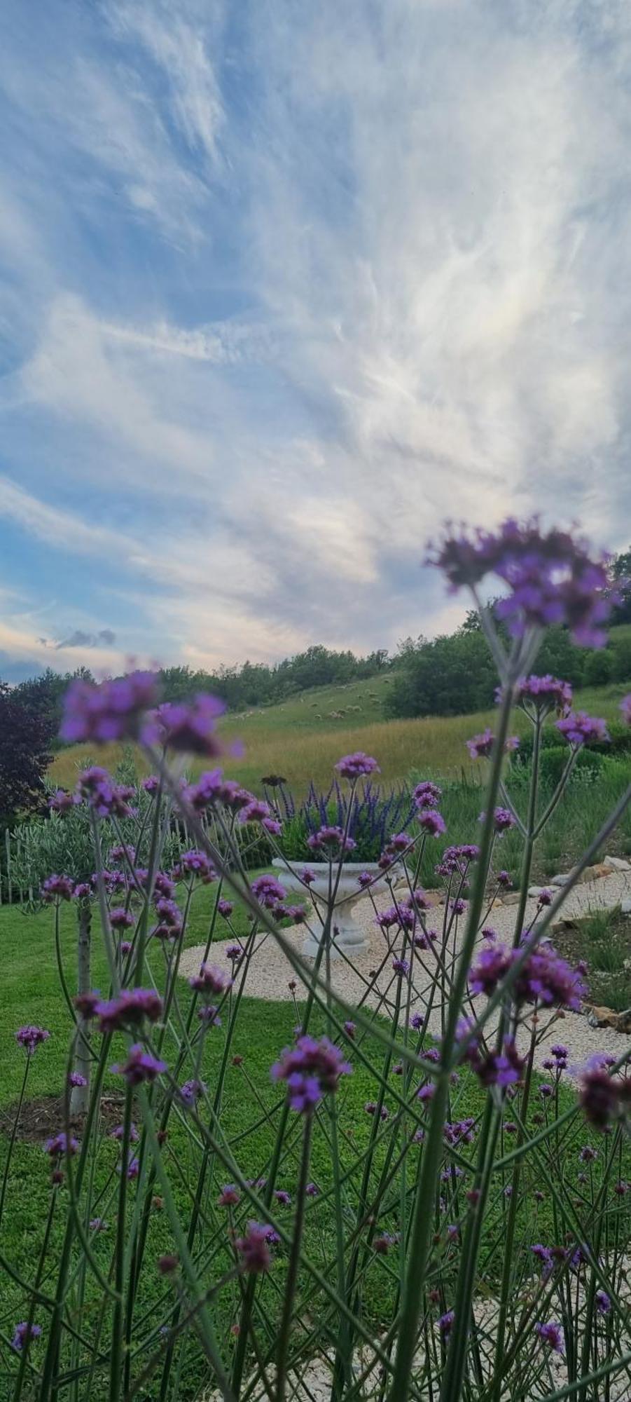 Mas Tulipe De Soie Bed & Breakfast Bevons Dış mekan fotoğraf