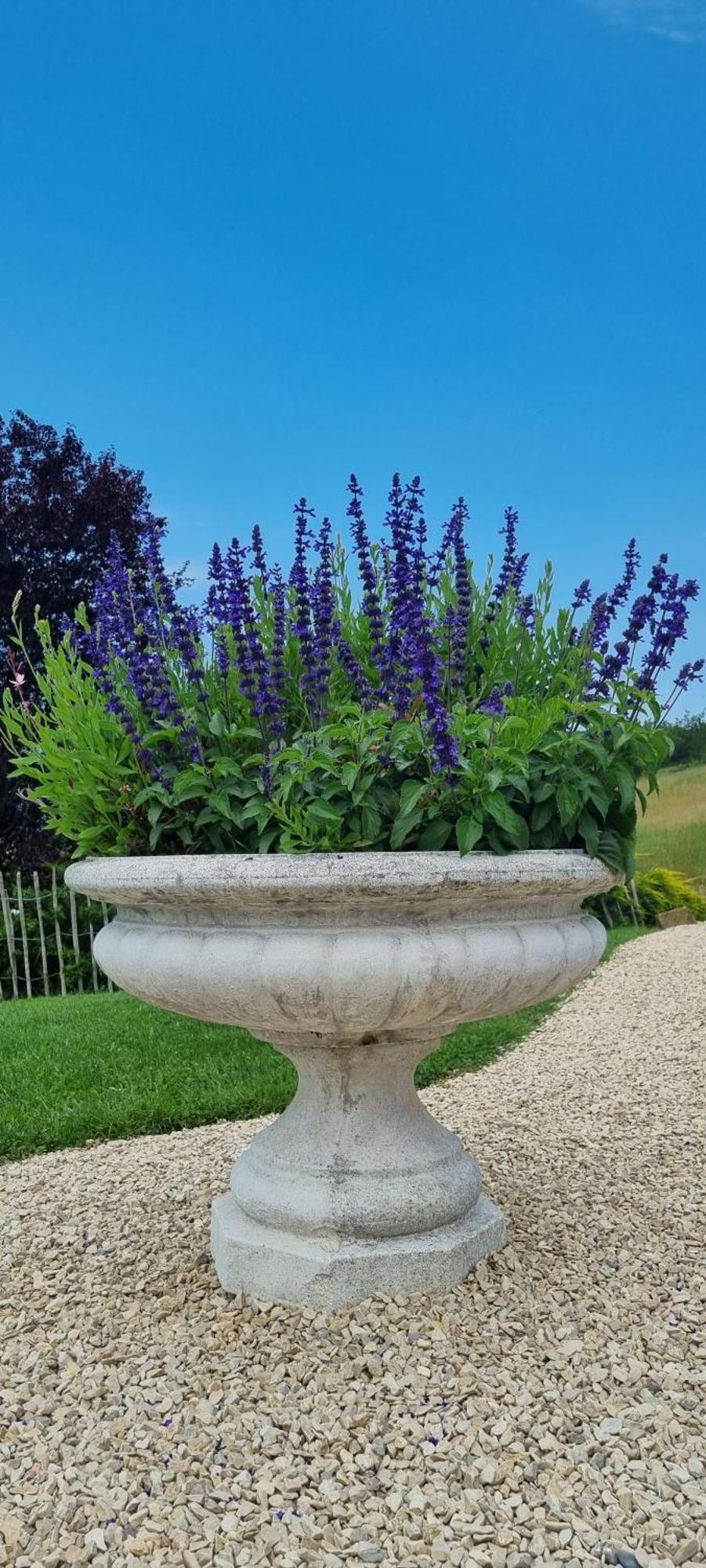 Mas Tulipe De Soie Bed & Breakfast Bevons Dış mekan fotoğraf
