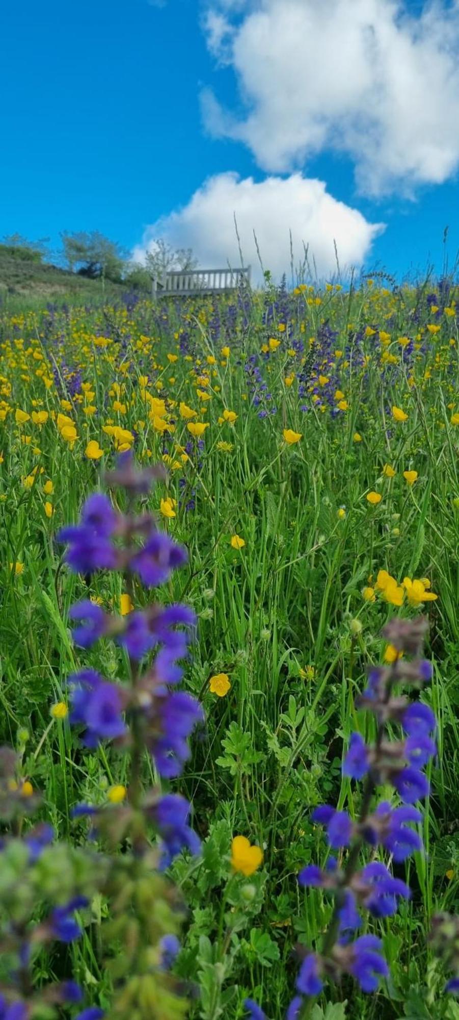 Mas Tulipe De Soie Bed & Breakfast Bevons Dış mekan fotoğraf